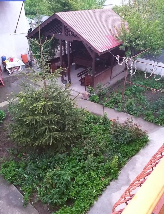Hotel Pensiune La Rodica Costinesti Exterior foto