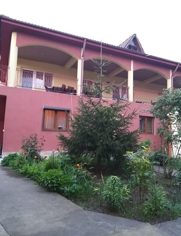 Hotel Pensiune La Rodica Costinesti Exterior foto